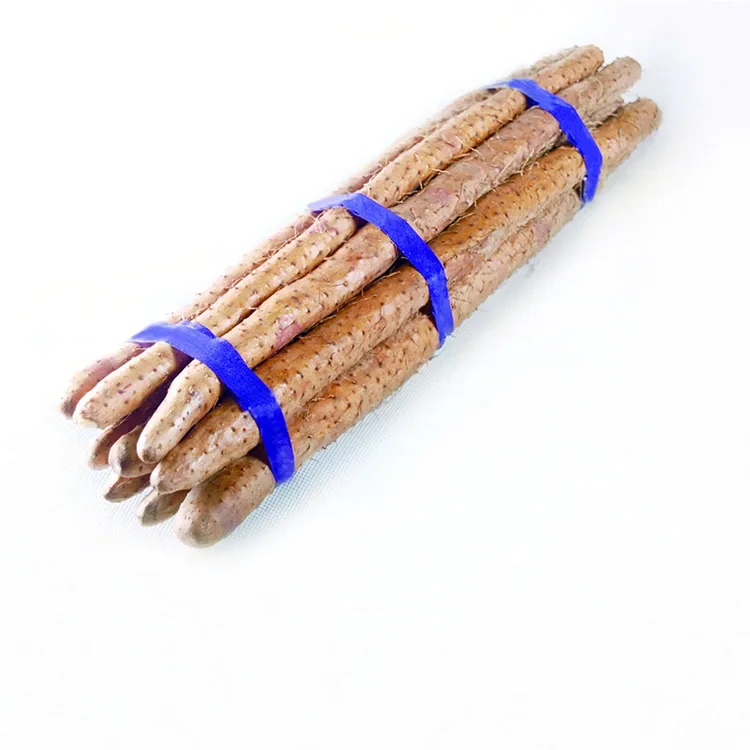 Ferskur kínverskur Yam