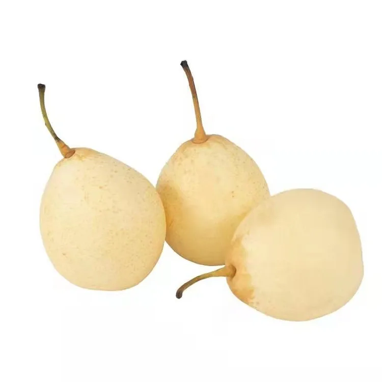 Nýuppskeruð Ya Pera