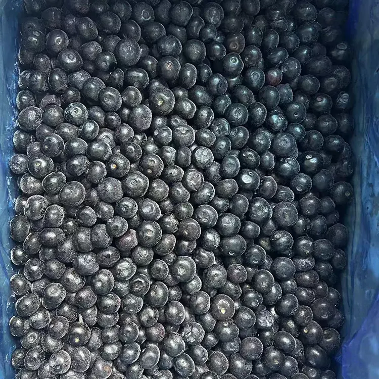 Frosin bláberja Premium IQF bláber