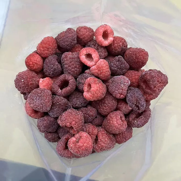 Premium IQF heilfryst rauð hindber