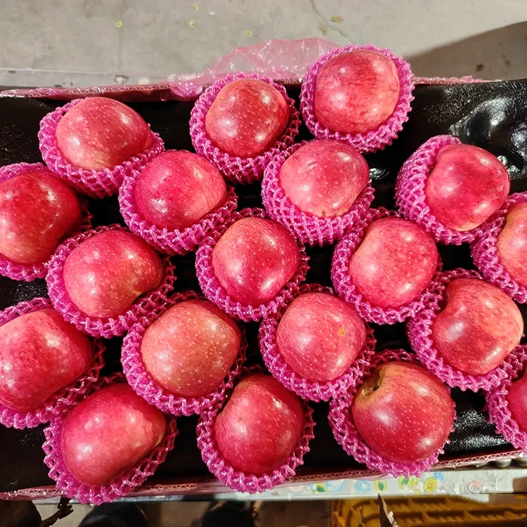 Superior fersk Jiguan epli
